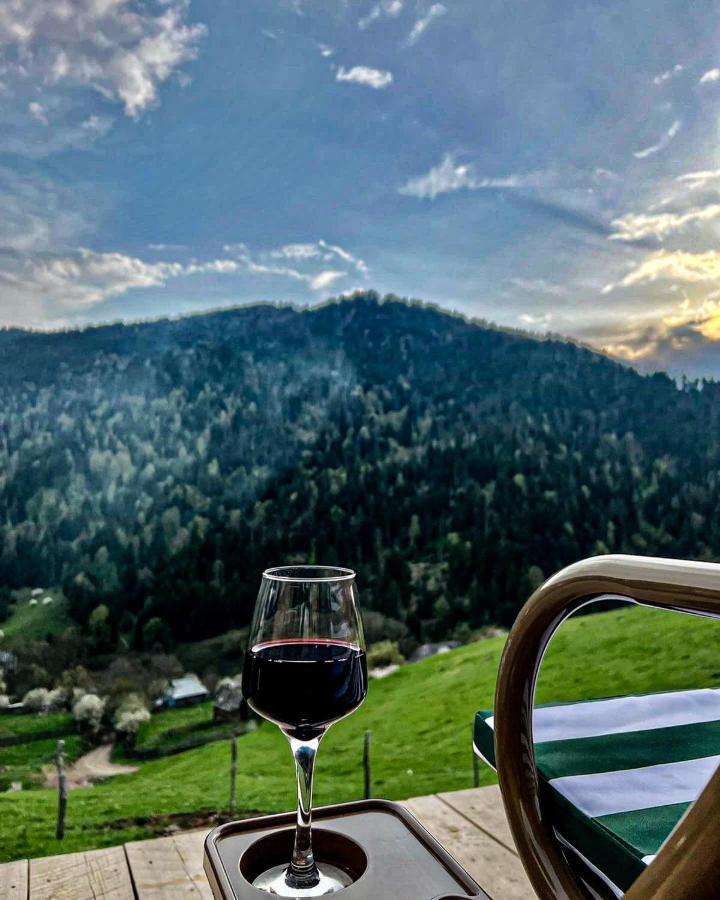 Mitarbi Silence - Cozy Holiday Cottages In Mountains Borjomi Bagian luar foto