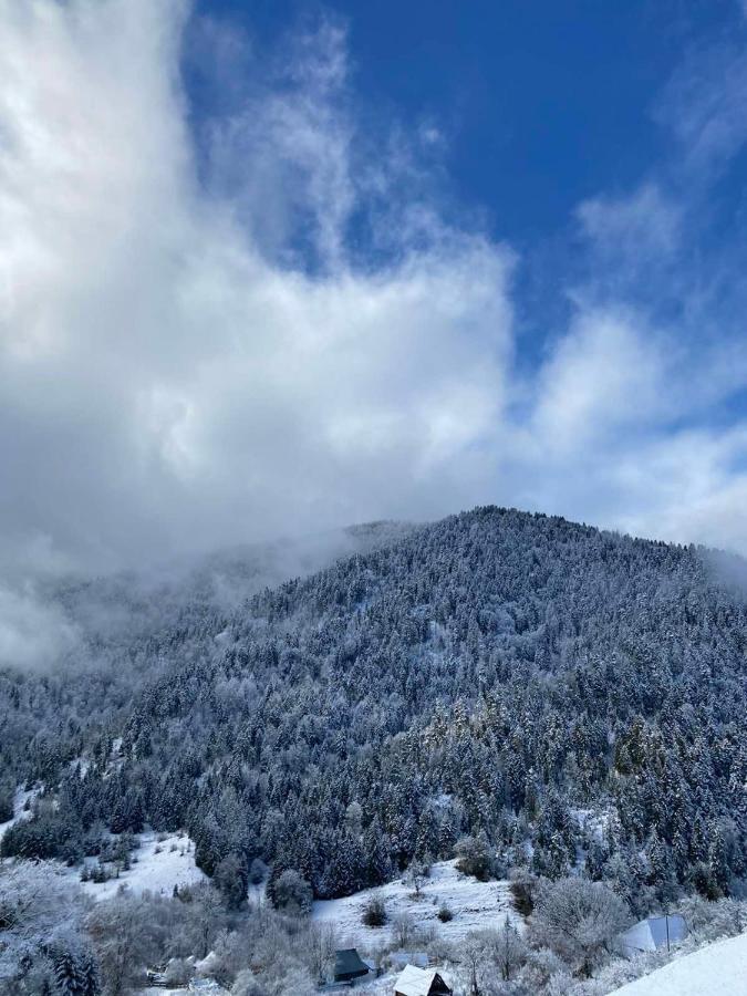 Mitarbi Silence - Cozy Holiday Cottages In Mountains Borjomi Bagian luar foto