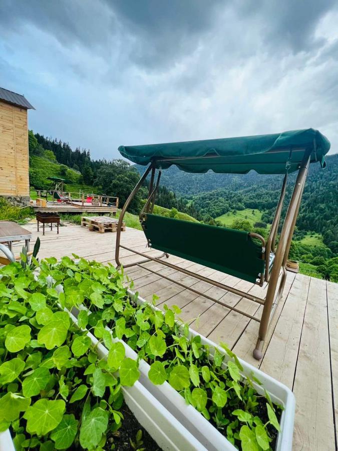 Mitarbi Silence - Cozy Holiday Cottages In Mountains Borjomi Bagian luar foto