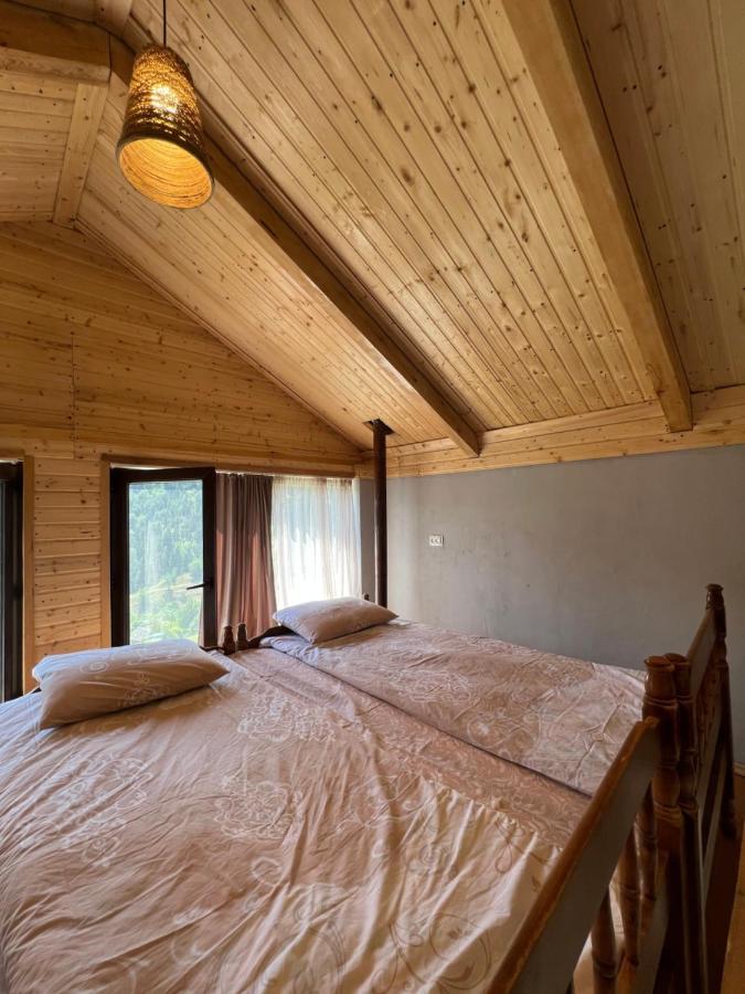 Mitarbi Silence - Cozy Holiday Cottages In Mountains Borjomi Bagian luar foto