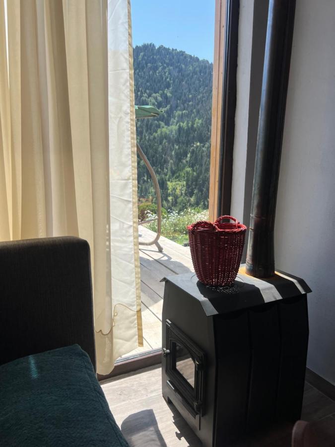 Mitarbi Silence - Cozy Holiday Cottages In Mountains Borjomi Bagian luar foto