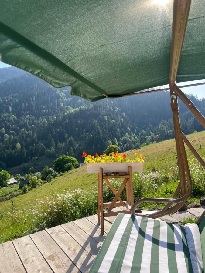 Mitarbi Silence - Cozy Holiday Cottages In Mountains Borjomi Bagian luar foto