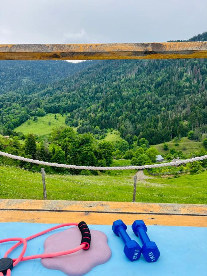 Mitarbi Silence - Cozy Holiday Cottages In Mountains Borjomi Bagian luar foto